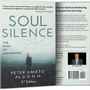 Soul Silence (Paperback)
